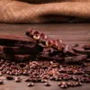 how chocolate is produced